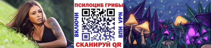 Галлюциногенные грибы Cubensis  закладки  Рудня 